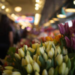 One Magical Night at the Local Clubs