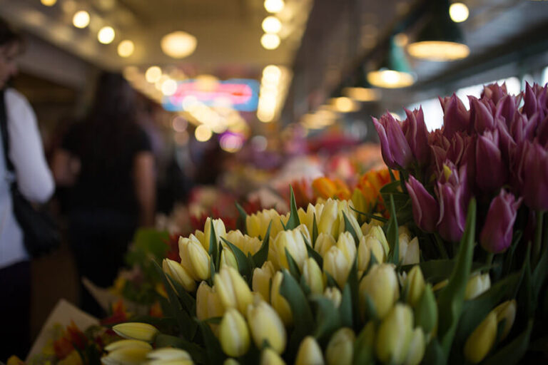 One Magical Night at the Local Clubs